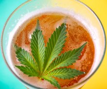 Cannabis & Binge Drinking