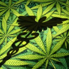 Making Medical Cannabis History