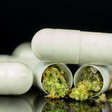 New Research on the Use and  Perception of Cannabis
