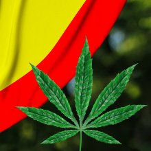 Spanish Government Gives Green Light to Medical Cannabis