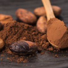 Cacao, a Traditional Plant Medicine for Modern Times